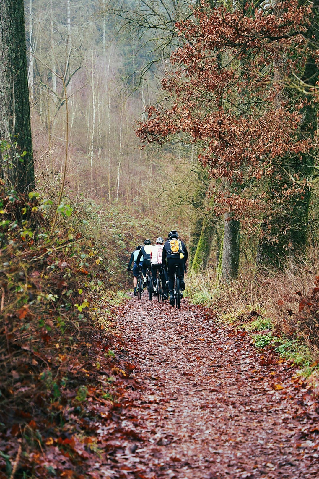 Group mountain bikers on trail